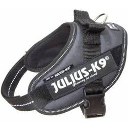 Julius-K9 IDC Power Harness 16IDC-ANT-M