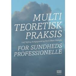 Multiteoretisk praksis for sundhedsprofessionelle (Hæftet, 2019)