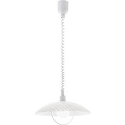 Eglo Alvez Pendant Lamp ∅ 42cm