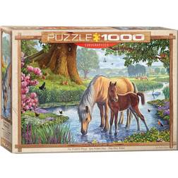 Eurographics The Fell Ponies 1000 Pieces