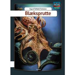Blæksprutte (Indbundet, 2019)