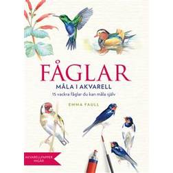 Fåglar: måla i akvarell (Häftad)