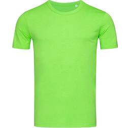 Stedman Morgan Crew Neck Rondgewoven Katoen - Limegroen