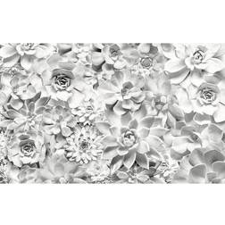 Komar Shades Black & White (P962-VD4)