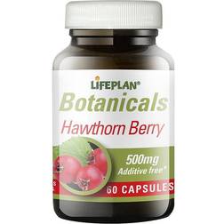 Lifeplan Hawthorn Berry 500mg 60 pcs