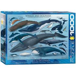 Eurographics Whales & Dolphins 1000 Pieces