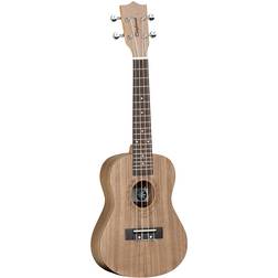 Tanglewood TWT 3