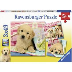 Ravensburger Beautiful Puppies 3x49 Pieces