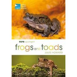 RSPB Spotlight Frogs and Toads (Häftad, 2019)