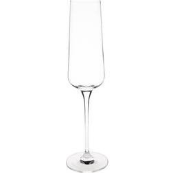 Olympia Claro Champagne Glass 26cl 6pcs