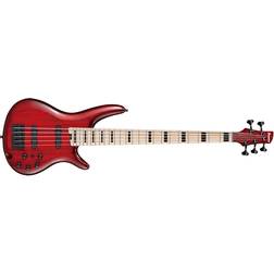 Ibanez ANB205-TWB Transparent Wine Red Burst Basse 5 cordes