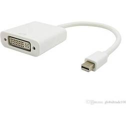 Exertis Connect Active DVI-D-DisplayPort Mini M-F Adapter