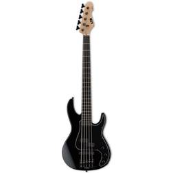 ESP AP-5