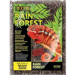 Exo Terra Rain Forest