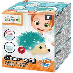 Buki France Mini Sciences Crystal Hedgehod