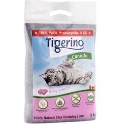 Tigerino Canada