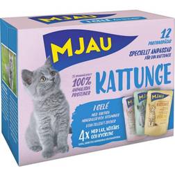 Mjau Multibox Kitten with Jelly Portion