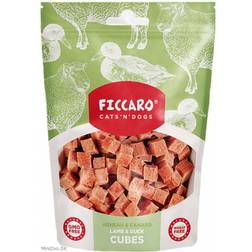 Ficcaro Lam & Ande Terninger