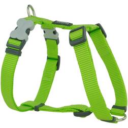 Red Dingo Liso 46-76 cm