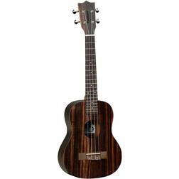 Tanglewood TWT 19