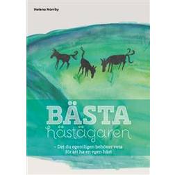 Bästa hästägaren: det du egentligen behöver veta för att ha en egen häst (Häftad)