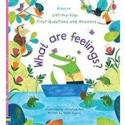 What are Feelings? (Board Book, 2019)