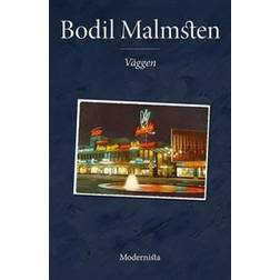 Väggen (E-bok)