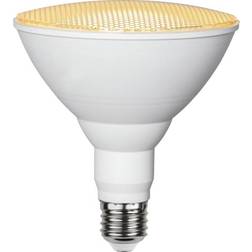 Star Trading Plant Light (Valkoinen)