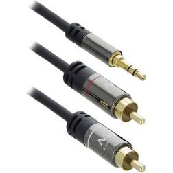 Ewent 2RCA-3.5mm 1.5m