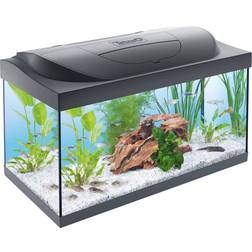 Tetra Acuario Starter Line LED ETRA Color