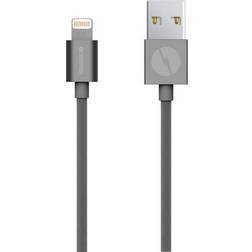 Champion Electronics USB A - Lightning 1m