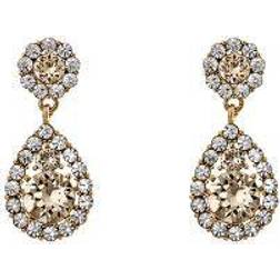 Lily and Rose Petite Sofia Earrings - Gold/Transparent