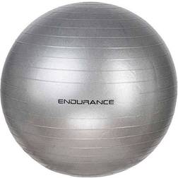 Endurance Gym Ball 55cm