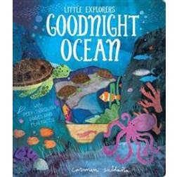 Goodnight Ocean (2019)