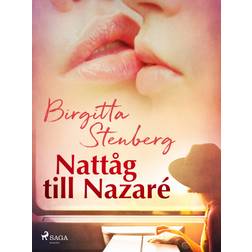 Nattåg till Nazaré (E-bok, 2019)