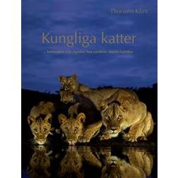 Kungliga katter: Beteenden och signaler hos världens största kattdjur (Inbunden)