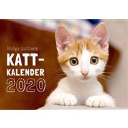 Roliga katters kattkalender 2020 (Häftad)