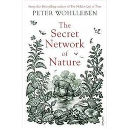 Secret Network of Nature (Paperback, 2019)