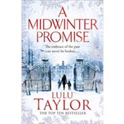 A Midwinter Promise (Häftad)