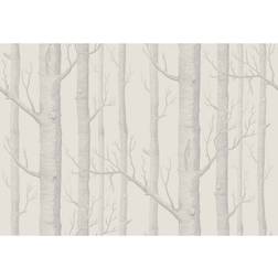Cole & Son Tapete Woods Icons von and Parchment grigio
