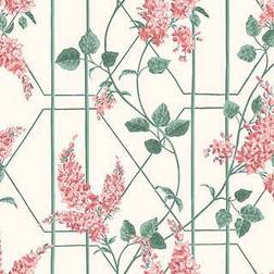 Cole & Son Wisteria (115/5012)