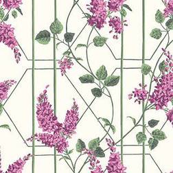 Cole & Son Wisteria (115/5013)