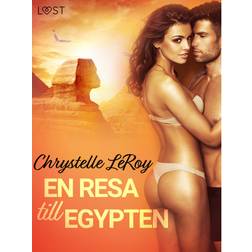 En resa till Egypten - erotisk novell (E-bok, 2019)