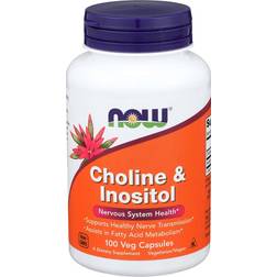 Now Foods Choline & Inositol 500mg 100 Stk.