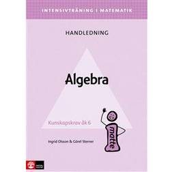 Intensivträning ma åk 4-6 Algebra Lhl (Häftad)