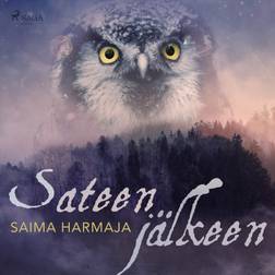 Sateen jälkeen (Ljudbok, MP3, 2020)