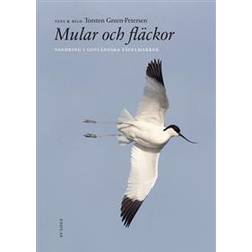 Mular och fläckor (Häftad)