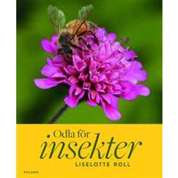 Odla för insekter (Inbunden)