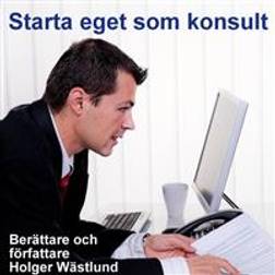 Starta eget som konsult - IT-konsult, PR-konsult, ekonomikonsult, byggkonsult m.m. (Ljudbok, MP3, 2020)