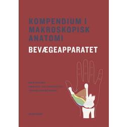 Kompendium i makroskopisk anatomi - bevægeapparatet (Häftad, 2020)
